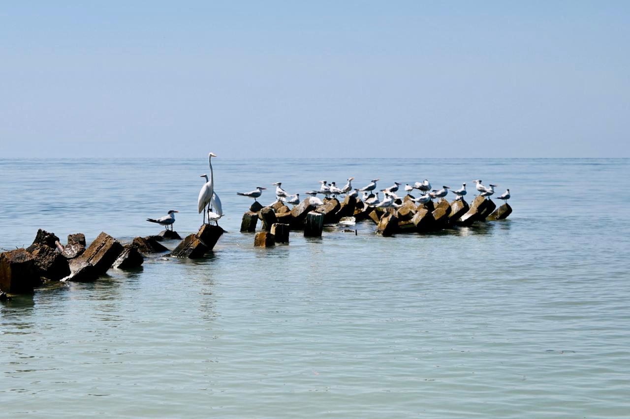 Casa Gaviota Barú
