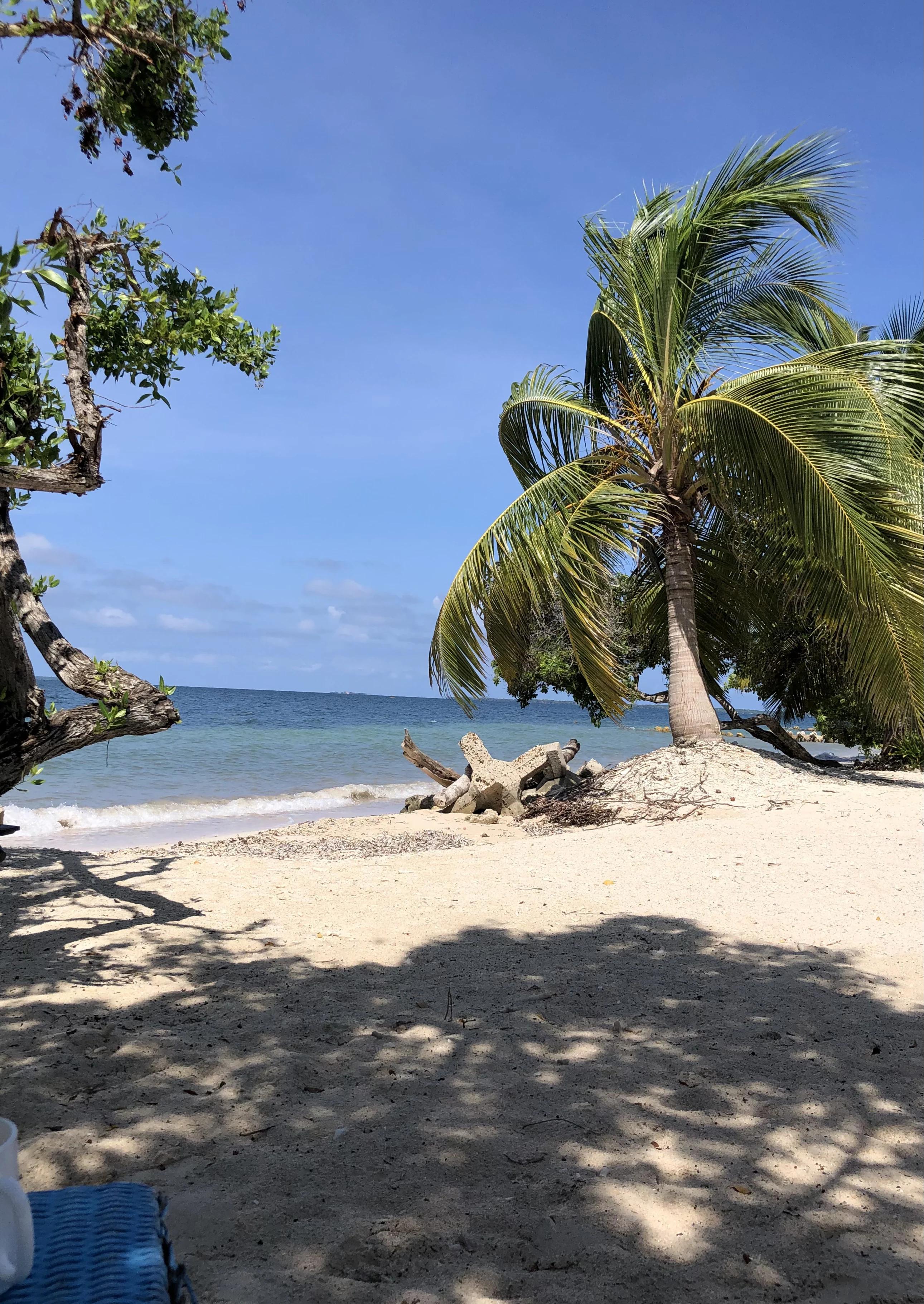 Casa Gaviota Barú